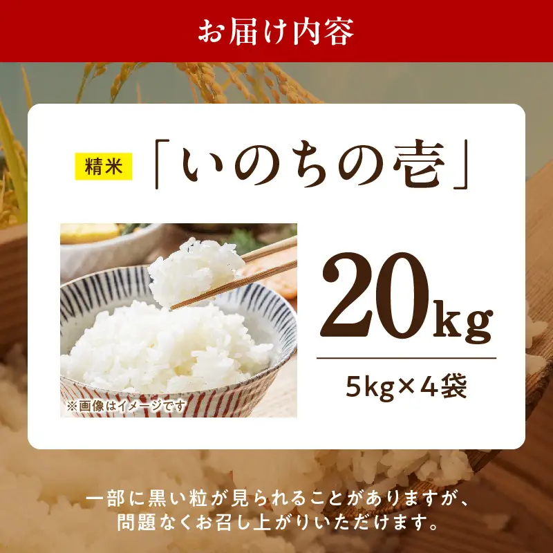 R7年産　「いのちの壱」（20kg）＜農家直送＞ ［208K12］ 希少米 20kg 米 精米 白米 ご飯 国産 産地直送 甘い 粘り強い もちもち お取り寄せ こだわり米 愛知県 小牧市 送料無料