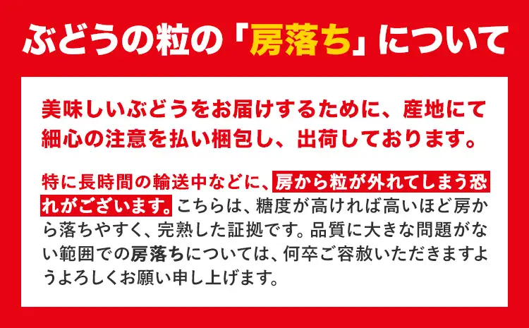 【先行予約】【2ヶ月定期便】黒ぶどう シャインマスカット 2kg マスカット フルーツ 果物 新鮮 《8月上旬-9月下旬頃出荷》熊本県 荒尾市産 目野果実直売所 巨峰 藤稔 ブラックビート ピオーネ　宝石　人気　おすすめ　葡萄