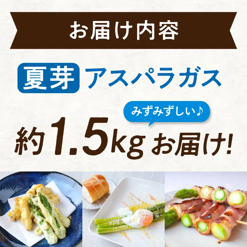 【先行予約】朝採れ アスパラ ＜夏芽＞ 約1.5㎏ [APAU004] アスパラガス