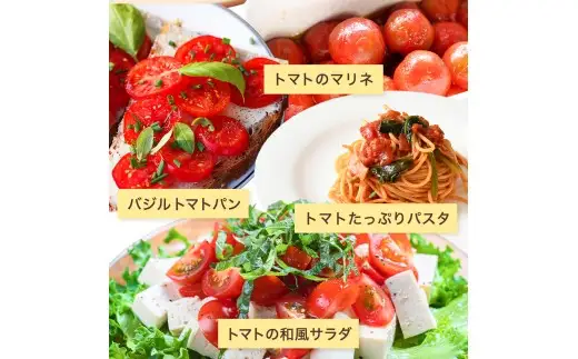 【先行予約】 和歌山県由良町産 ゆらミニトマト 1.5kg×1箱※2025年10月中旬頃から順次発送予定(お届け日指定不可) / トマト ハウス栽培 とまと 野菜 産地直送 新鮮 由良町 和歌山【ktym010】
