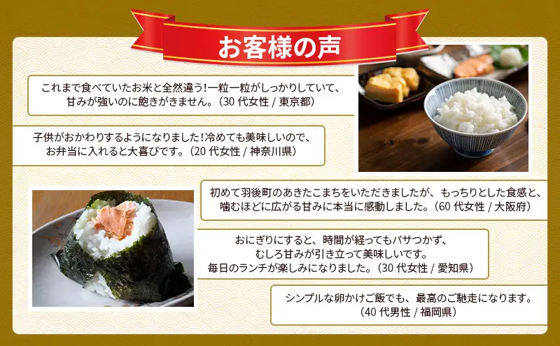 新米 先行予約［令和8年産］定期便 秋田県産 あきたこまち 10kg (5kg×2袋) 全6回 毎月お届け 羽後町産 [藤原商店]【 米 お米 白米 精米 あきたこまち アキタコマチ 定期 定期便 美味しい 秋田 羽後 】