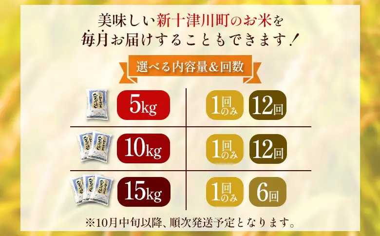 【令和７年度産】ななつぼし精米 食味ランキング「特A」（15kg）【11067】