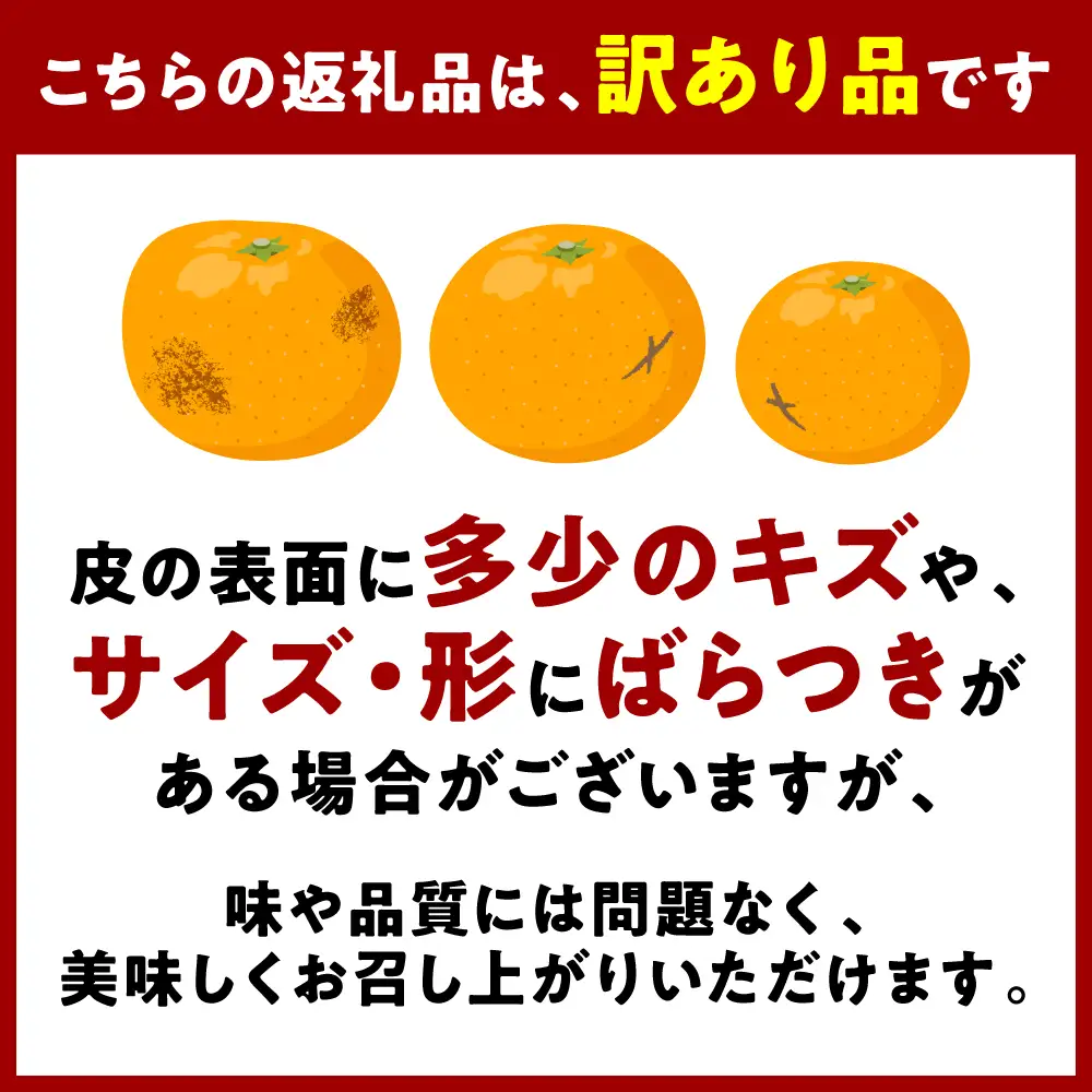 【先行予約】 【訳あり】 不知火 デコみかん 約5kg しらぬい みかん 【2027年1月中旬より順次発送】