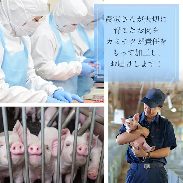 〈3回定期便〉鹿児島県産 豚モモスライス&カタ薄切り 各250g×8Pずつ 計4kg×3回 t0051-003