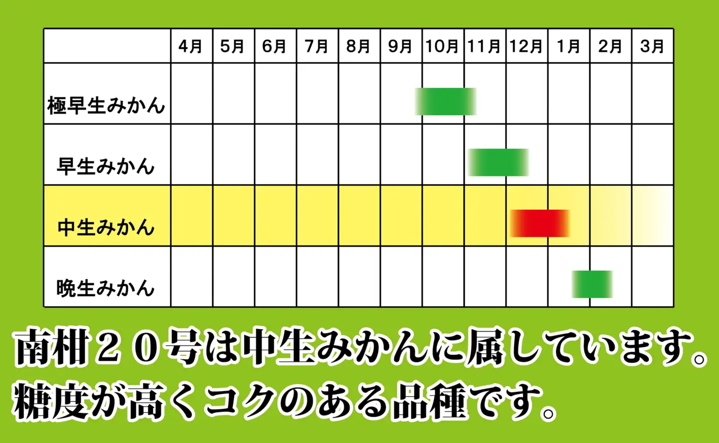 M、Sサイズでお届け・濃厚な味わい! 井上農園「南柑20号」約5kg 【C39-12】【1245424】 YWTF005