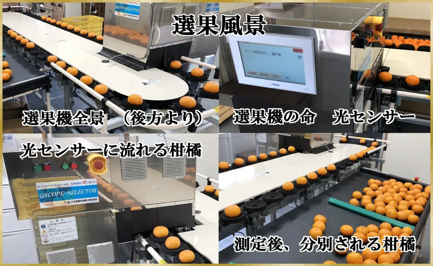 極撰柑橘【雅】光センサー合格品「八幡浜温州みかん」約3キロ 【C39-53】【配送不可地域：離島】【1464138】 YWTF028