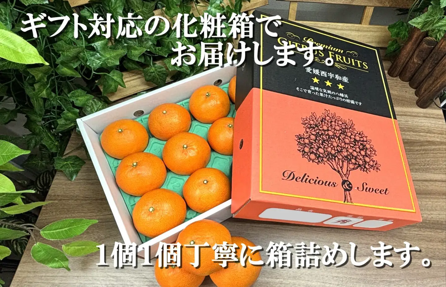 2027年2月発送開始 柑橘の大トロ「せとか」約3kg  【D39-6】【1262187】 YWTF001