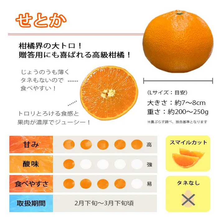 【先行受付】愛媛の柑橘の代名詞!「せとか」約2.5kg入【C28-40】【1437356】 YWTN027