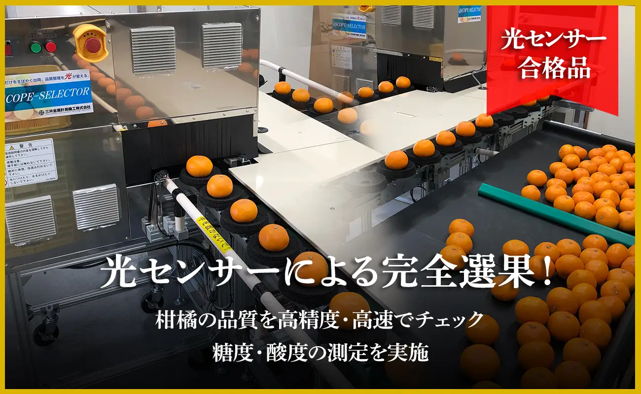 極撰柑橘【雅】光センサー合格品　甘さ際立つ「小玉温州みかん」約4.5キロ【C39-64】【配送不可地域：離島】【1616826】 YWTF039