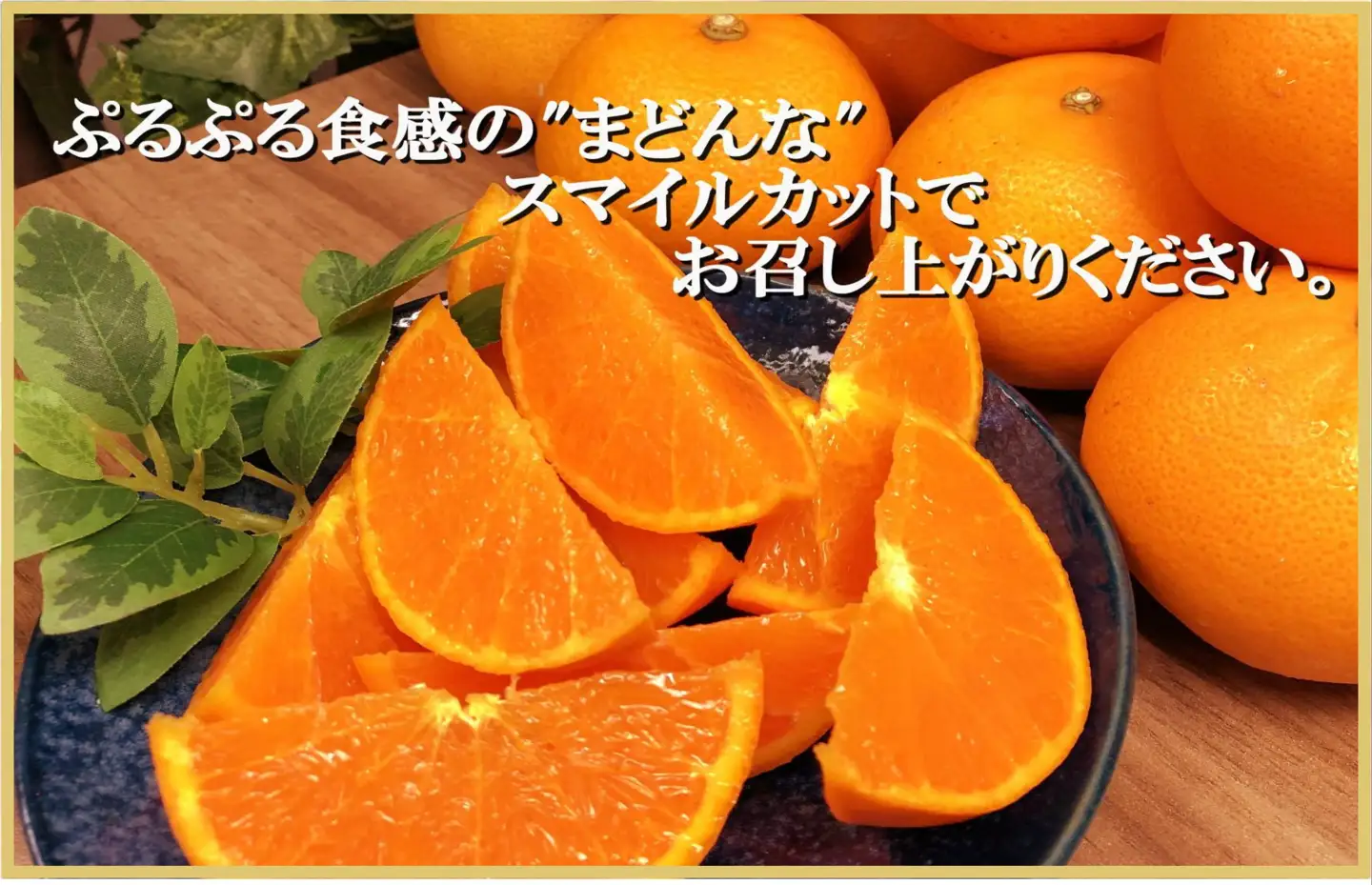 極撰柑橘 【雅】光センサー 合格品・プルプル食感「 マドンナ 」 約3キロ【E39-70】【配送不可地域：離島】【1620366】 YWTF045