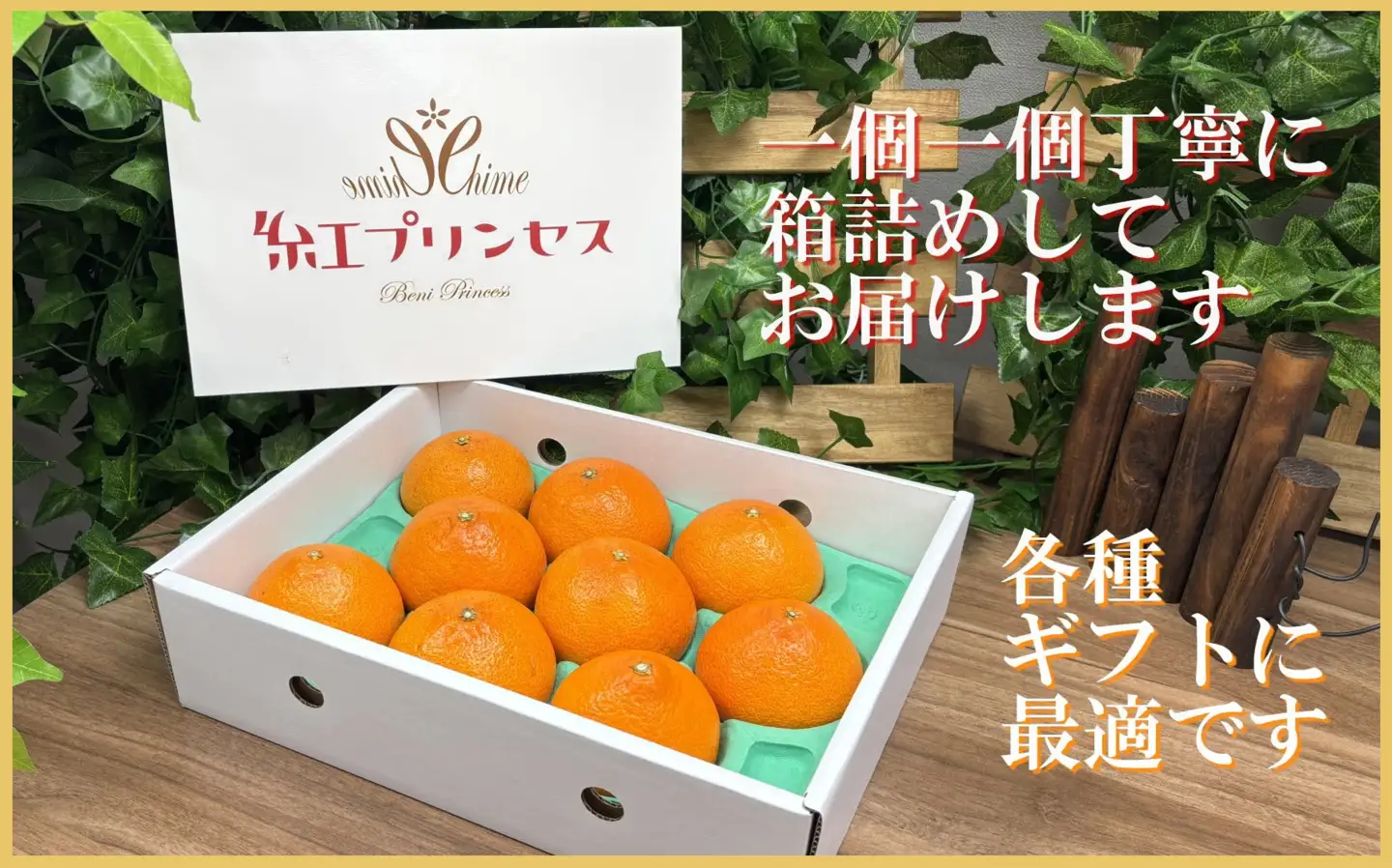 柑橘界のサラブレット!!「まどんな」と「甘平」を親に持つ!!　「紅プリンセス」2キロ【D39-76】【配送不可地域：離島】【1621674】 YWTF051
