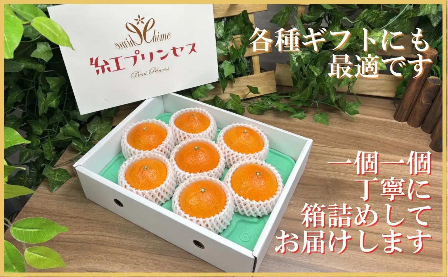 柑橘界のサラブレット!!「まどんな」と「甘平」を親に持つ!!　「紅プリンセス」3キロ【F39-77】【配送不可地域：離島】【1621866】 YWTF052