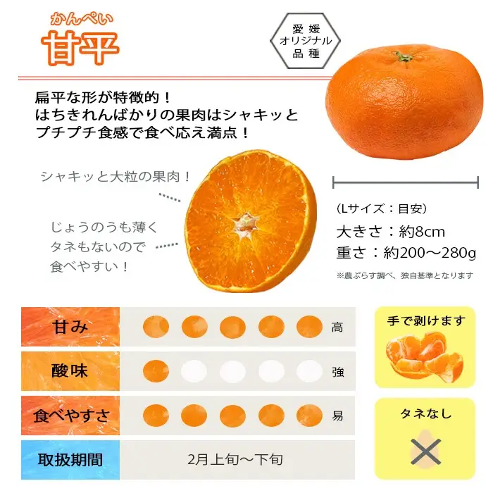 【先行受付】愛媛の高級柑橘の一つ!「甘平(かんぺい)」約2.5kg入【訳あり】【C28-41】【1437357】 YWTN028