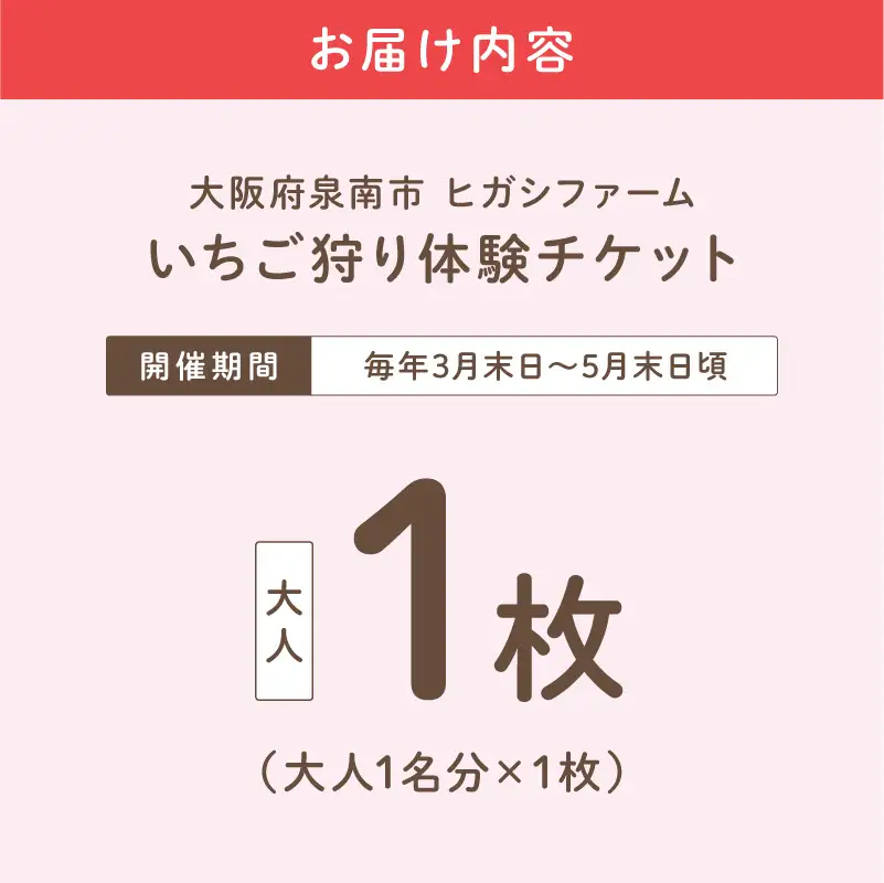 【見つけて、摘んで、食べて！】希少いちご「ほしうらら」を摘みに行こう いちご狩り 体験チケット（大人1名）【121E-001】