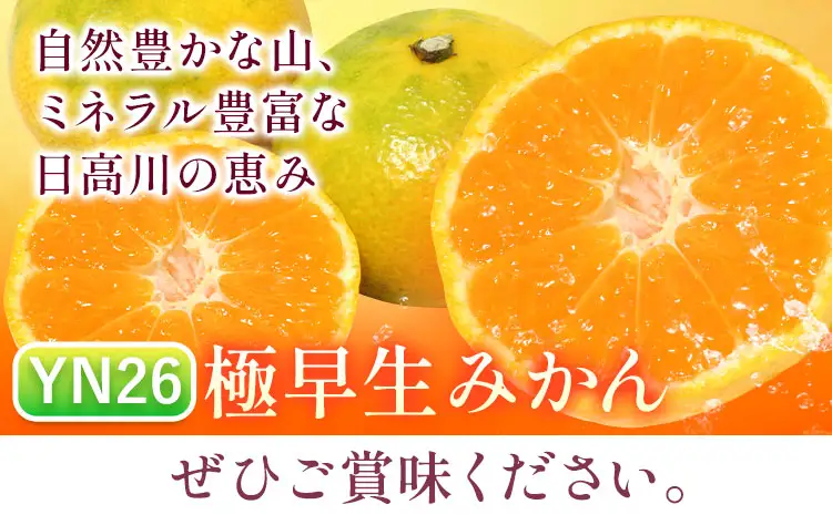みかん 極早生みかん YN26 約5kg