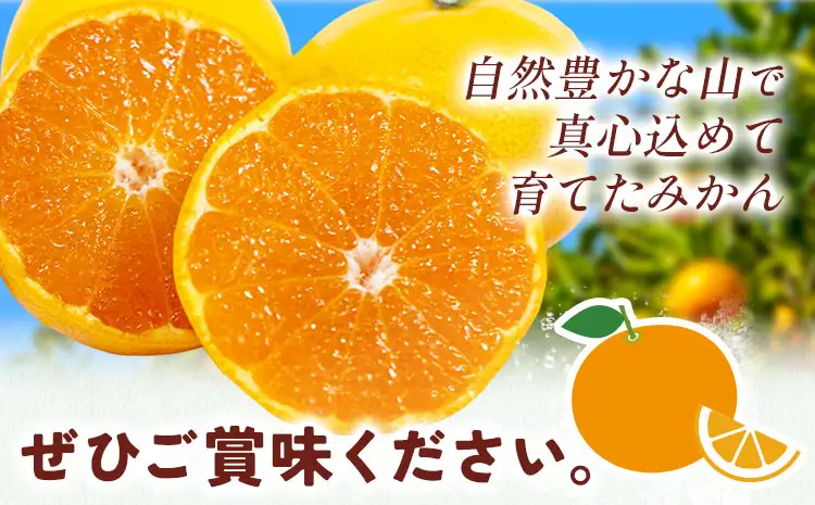 みかん ゆら早生みかん 約10kg