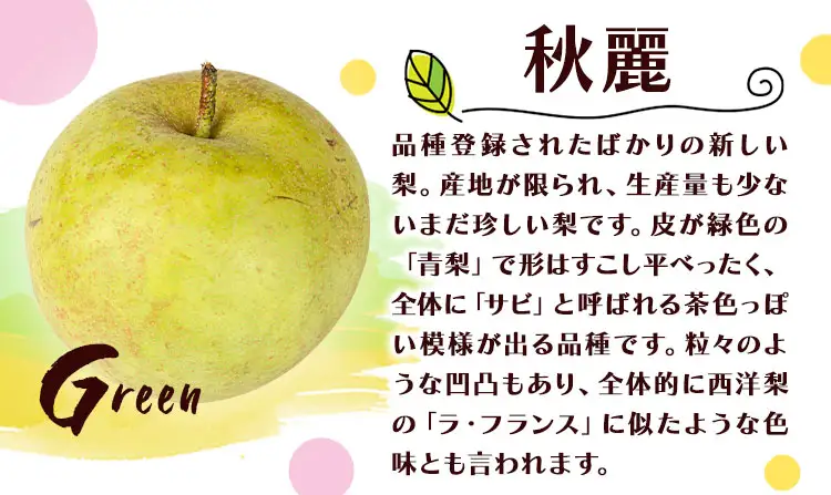 梨 なし 秋麗梨 約5kg(5～18玉前後) 坂村梨園 《8月中旬-11月上旬頃出荷》熊本県 玉東町 秋 旬 梨 フルーツ 果物 期間限定