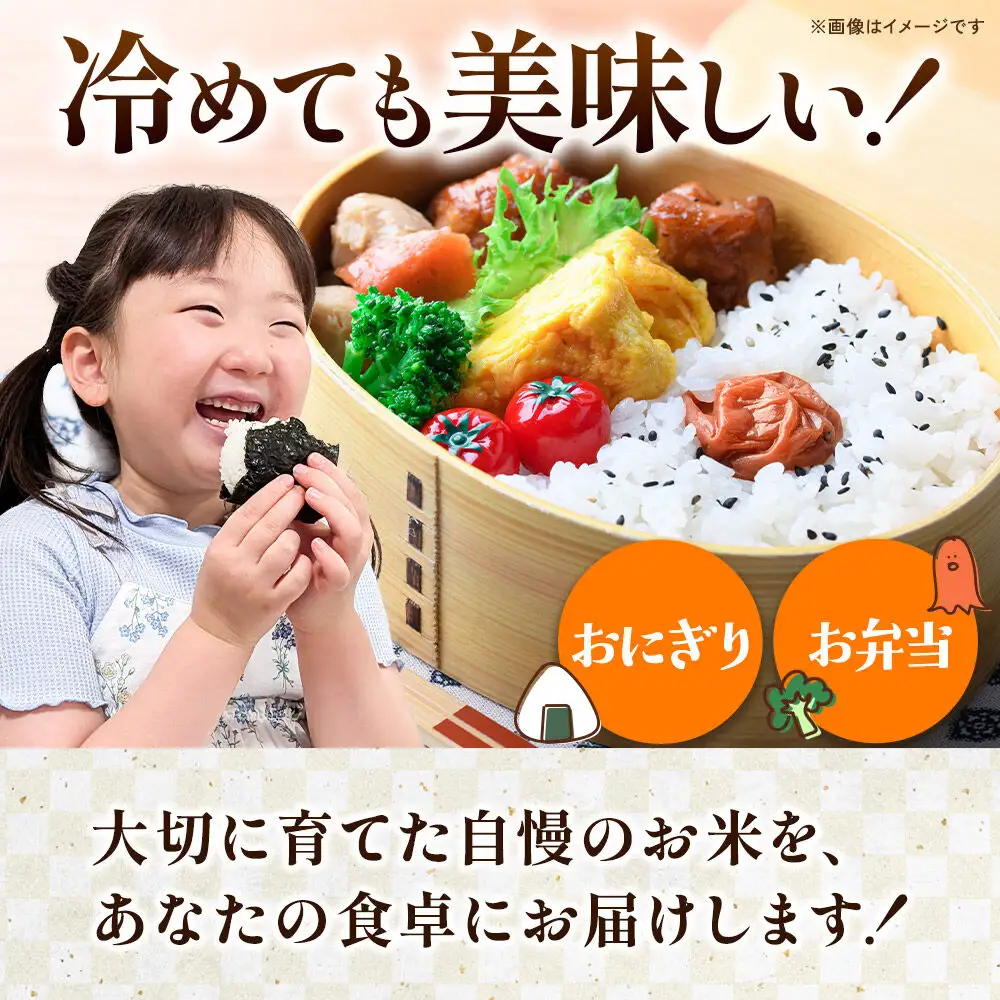 《令和8年産 新米受付》【白米】《定期便3ヶ月》あきたこまち 20kg（5kg×4袋） 秋田県 横手市