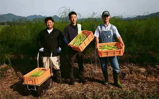 名産！ 西会津町 アスパラ 約1kg 新鮮 野菜 アスパラガス 夏の彩り 食品 旬の味わい 予約販売 F4D-2397