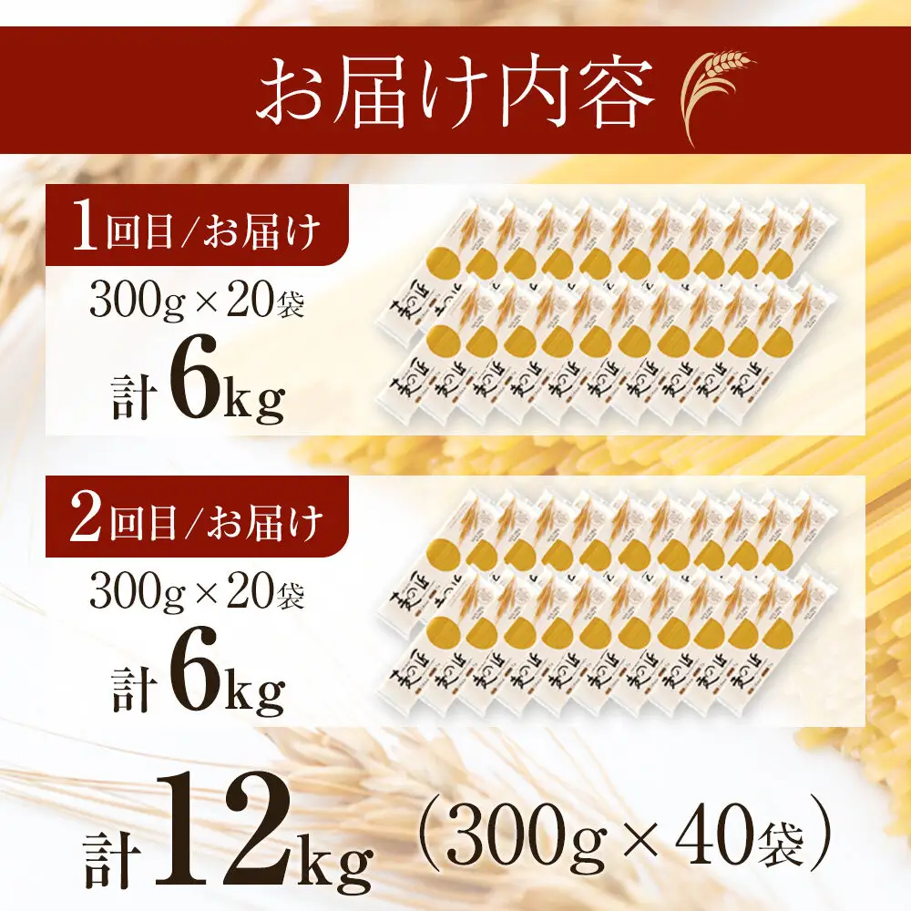 【全2回定期便】「麦の匠」デュラムセモリナ100％スパゲッティ300g×20袋/パスタ 国産 貝塚産 麺 もちもち 大阪府貝塚市