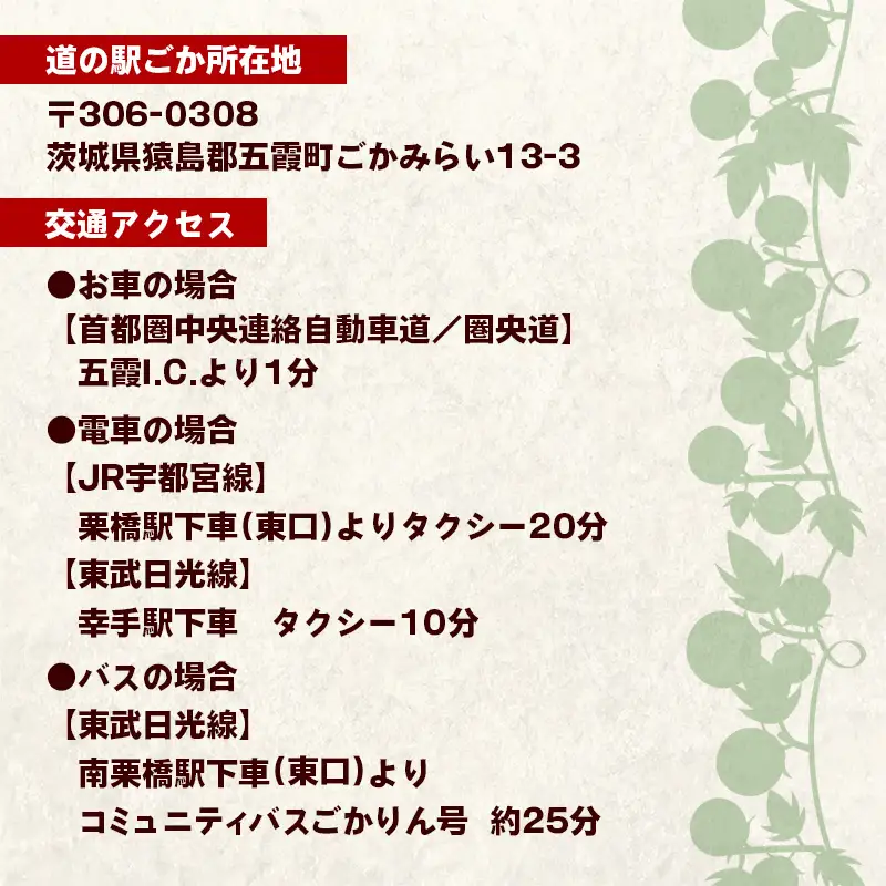 中村さん家のトマト収穫体験【ペアコース】【2026年5月6日 水曜日 祝日 開催】- 農業体験 30分 食べ放題 1パック お持ち帰りお土産付き 収穫 新鮮 茨城県 五霞町 開催
