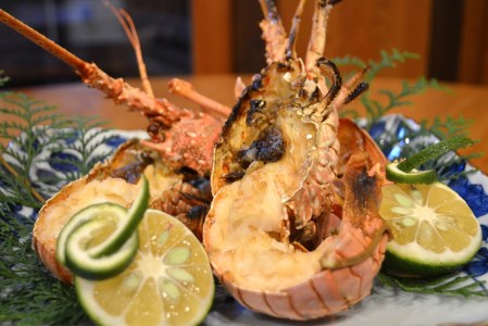 【 冷凍 伊勢海老 】天然 伊勢海老 1.0kg（2～4尾） 黒潮町 ［1083-2］