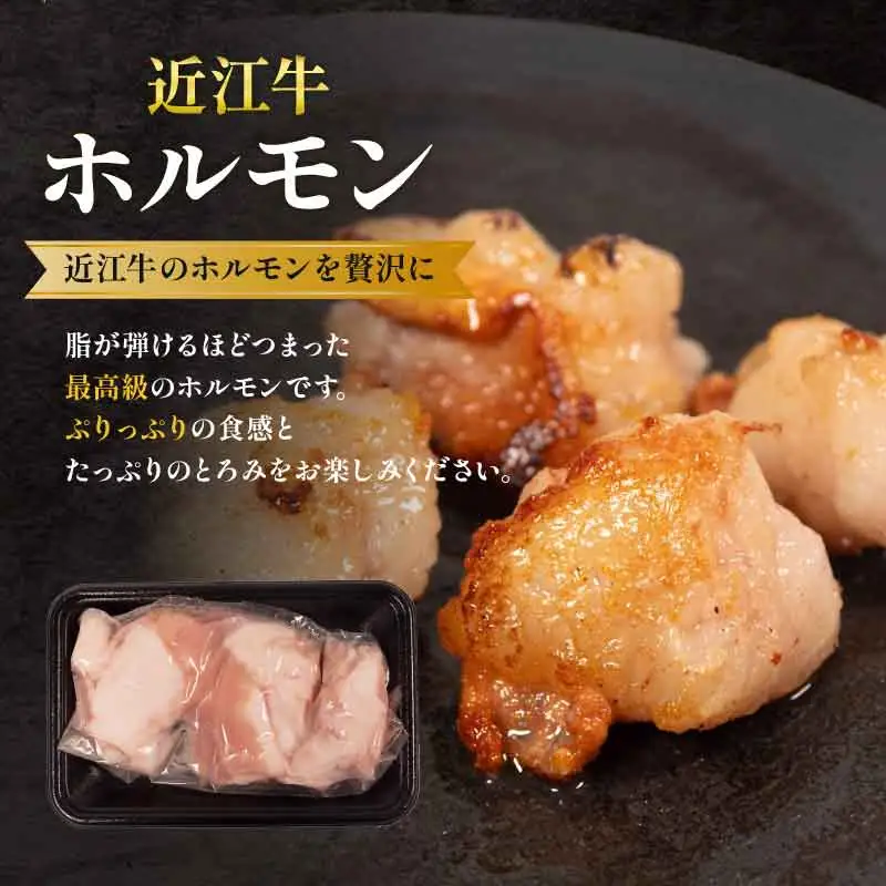 E538 ごちそうBBQ4種類セット 980g 近江牛 入り