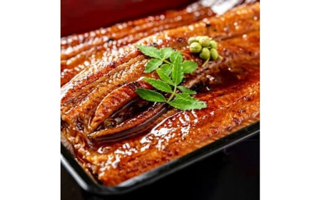 国産 うなぎ 蒲焼 4尾（920g～1kg）と 特製タレ 4個 セット 鰻 ウナギ 蒲焼き うなぎ蒲焼 セイロ蒸し せいろ蒸し タレ付 冷凍  父の日