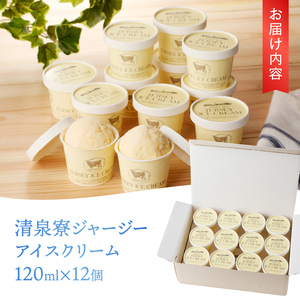 清泉寮ジャージーアイスクリーム　120ml×12個　アイスクリーム アイス ジャージーアイス 120ml 12個 プレミアム 有機ジャージー牛乳 安定剤不使用 乳化剤不使用「やまなしアニマルウェルフェア」 三ツ星認証 北杜市 清里 清泉寮 ジャージー牧場 人気 バレンタイン チョコ以外 ホワイトデー お返し  [h041]