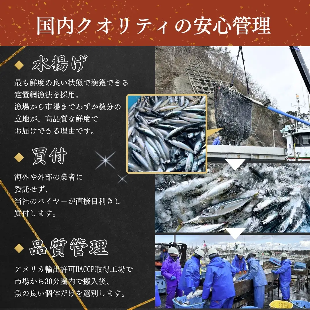 【訳あり】 三陸産 骨取り サバ フィレ 半身 無塩 約1kg（4～7枚入り） 冷凍 国産 岩手県産 無塩サバ 鯖 訳アリ わけあり 骨なし 骨取り済み 骨取り魚 切り身 切身 海鮮 魚介 家庭用 レシピ おかず おつまみ 惣菜 弁当 不揃い 規格外 傷