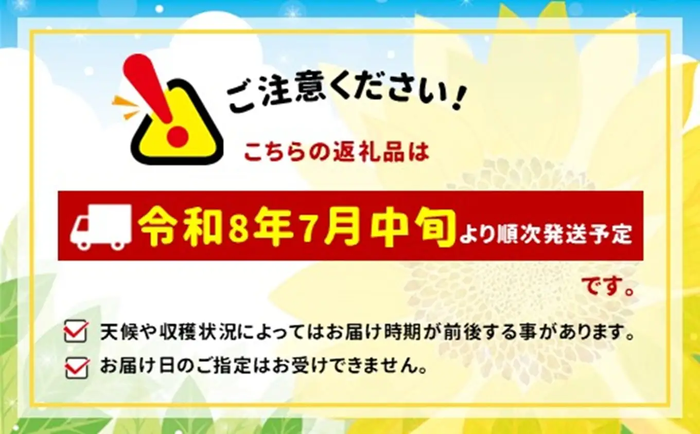 生で食べられる極上の 八ヶ岳 生 とうもろこし 10本入り【2026年7月中旬～発送】