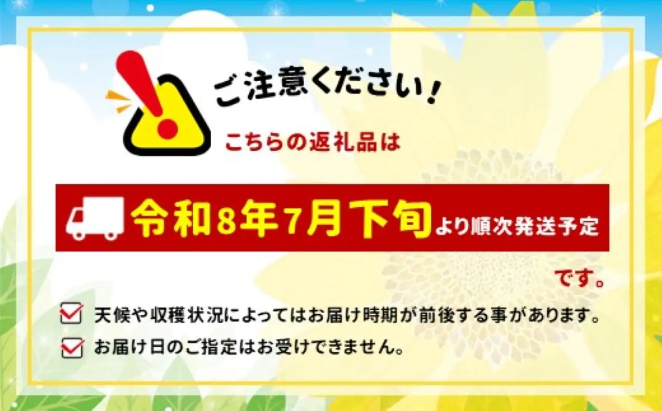 【栽培期間中農薬不使用・無化学肥料・無家畜性肥料で育てた】 季節の 野菜セット ( Lサイズ )【2026年7月下旬～発送】
