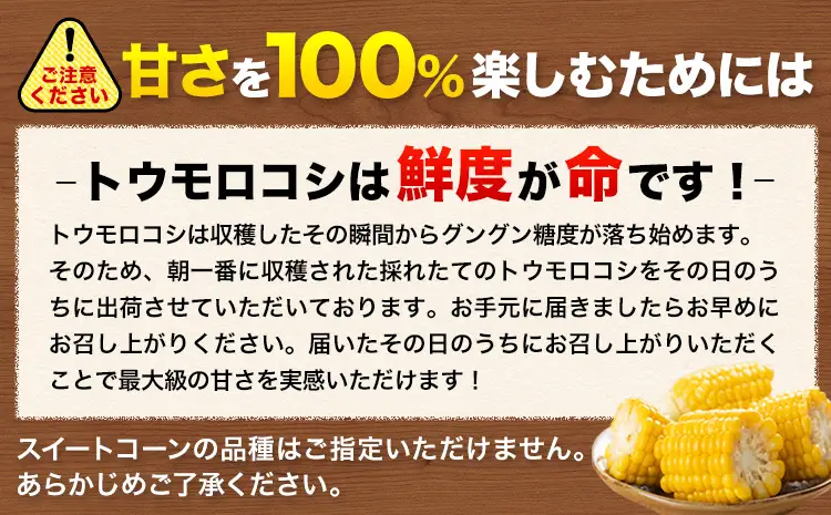 とうもろこし 15本 とうもろこし【着日指定不可】