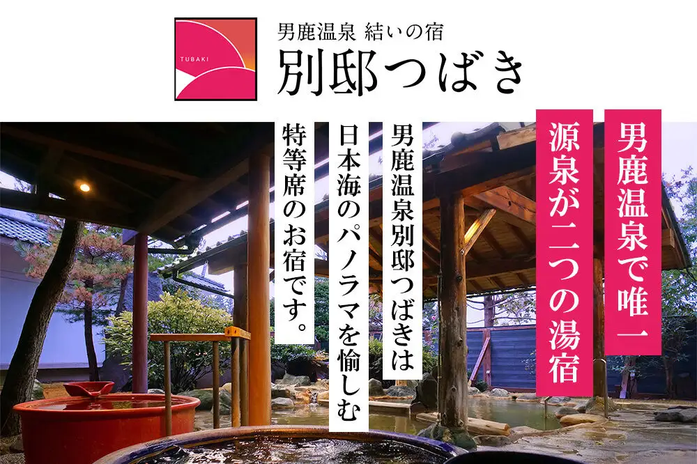 観光 男鹿半島観光満喫プラン（2名様2泊3日）【楽々タクシー移動】秋田県 男鹿市
