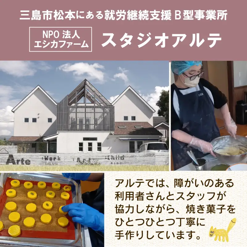 焼き菓子 ギフトボックス （S）  3種 9個入り クッキーセット