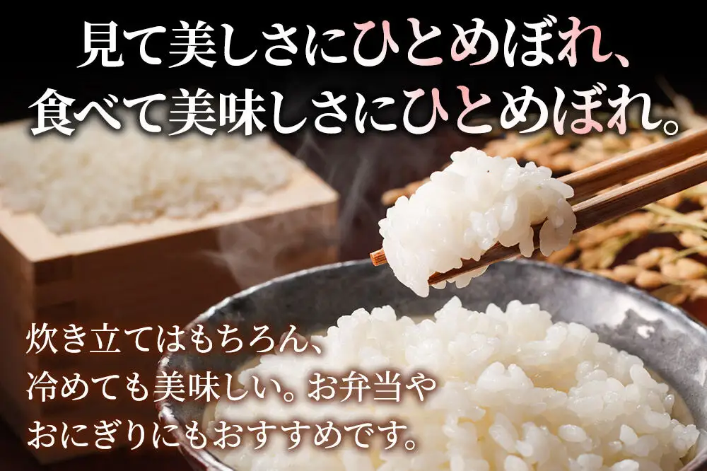 米《定期便4ヶ月》ひとめぼれ【白米】 米どころ秋田県産 令和7年産 精米 2kg（2kg×1袋）