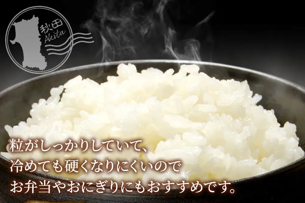 米《定期便2ヶ月》めんこいな【白米】 米どころ秋田県産 令和7年産 精米4kg（2kg×2袋）