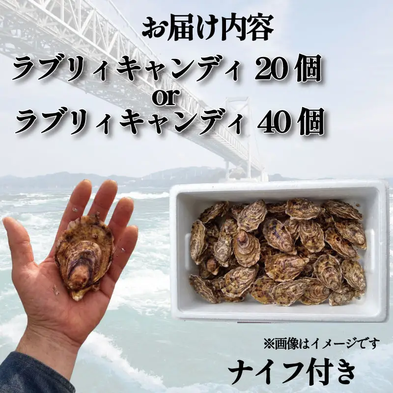 【先行予約】 牡蠣 生牡蠣 殻付き 20個 生食可 (ナイフ付き)ラブリィキャンディ 真牡蠣 かき カキ