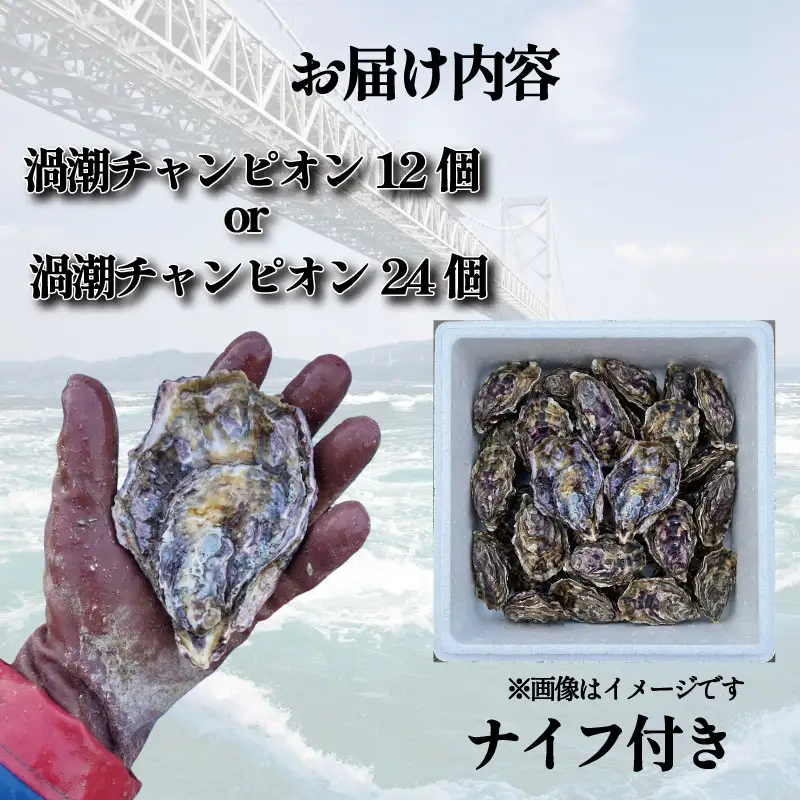 【9月~12月まで発送】渦潮チャンピオン 牡蠣 24個