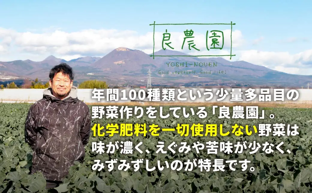 新玉ねぎ 5kg 玉ねぎ