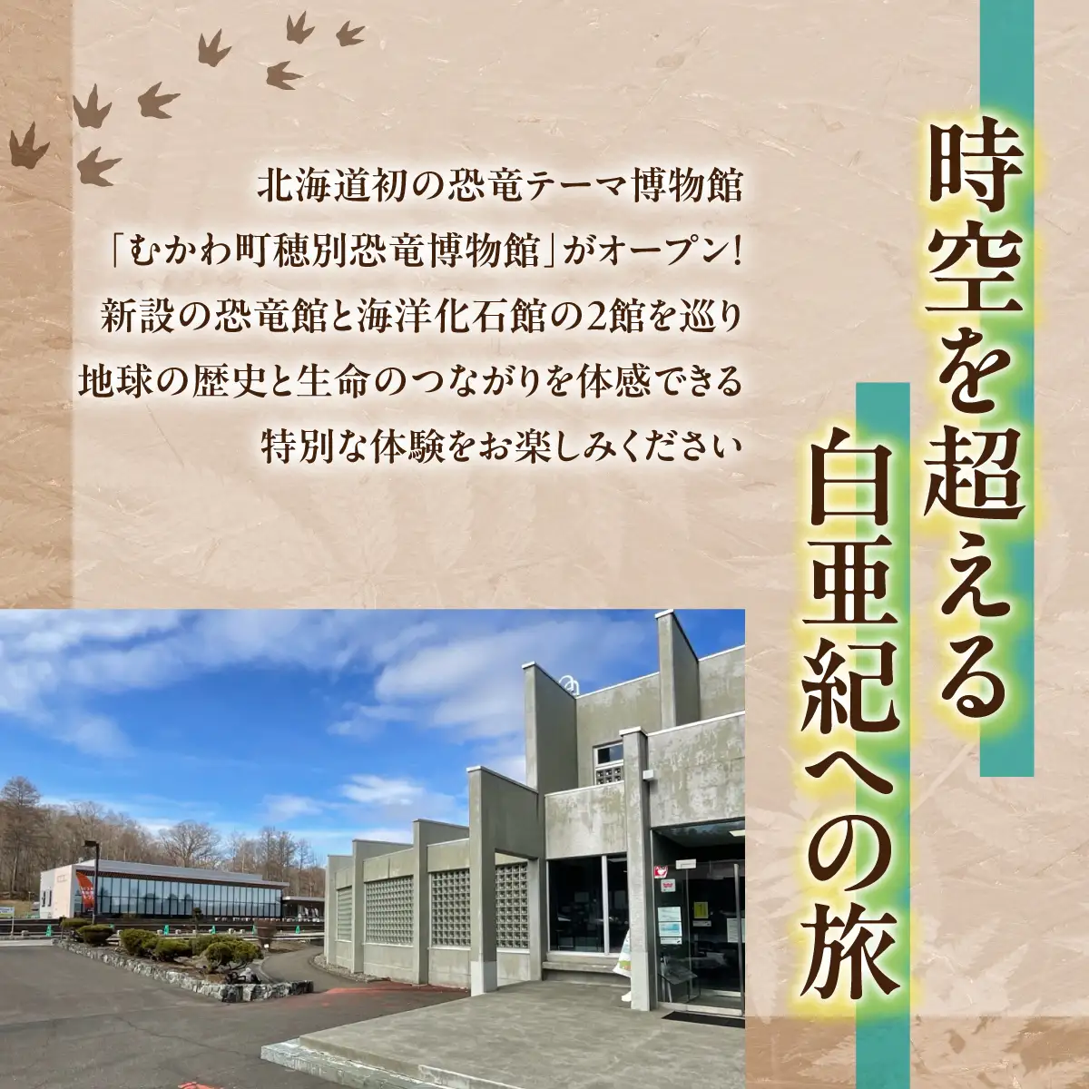 【令和8年4月25日OPEN】恐竜×海洋化石！むかわ町穂別恐竜博物館 共通入館券　大人用６枚セット MKWAM002