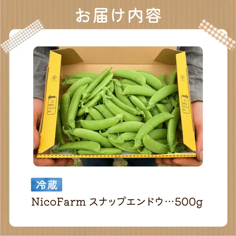 【先行予約6月上旬】甘くてシャキシャキ！スナップエンドウ 500g えんどう豆_Y124-0047