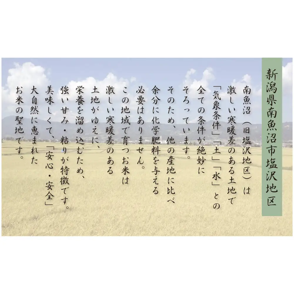 【令和8年産先行予約】南魚沼産コシヒカリ10kg一等米（5kg×2袋）【塩沢地区】【銘柄米 ブランド米 精米 こしひかり コシヒカリ 魚沼産 新潟米 産地直送 お米 米 こめ】【2026年10月中旬より1ヶ月以内に順次発送予定】