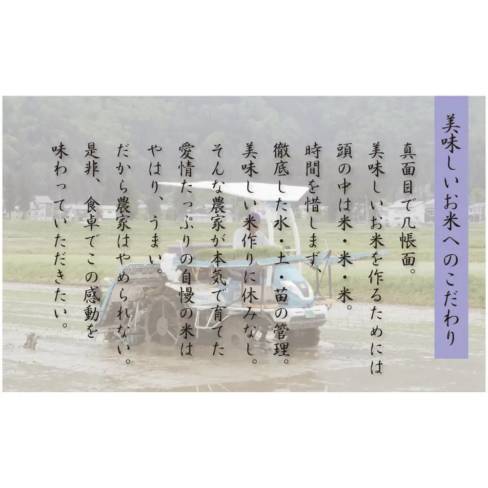 【令和8年産先行予約】【定期便12ヵ月】南魚沼産コシヒカリ5kg（5kg×12回）【塩沢地区】【定期便 銘柄米 ブランド米 精米 こしひかり コシヒカリ 魚沼産 新潟米 お米】【2026年10月中旬より1ヶ月以内に順次発送予定】