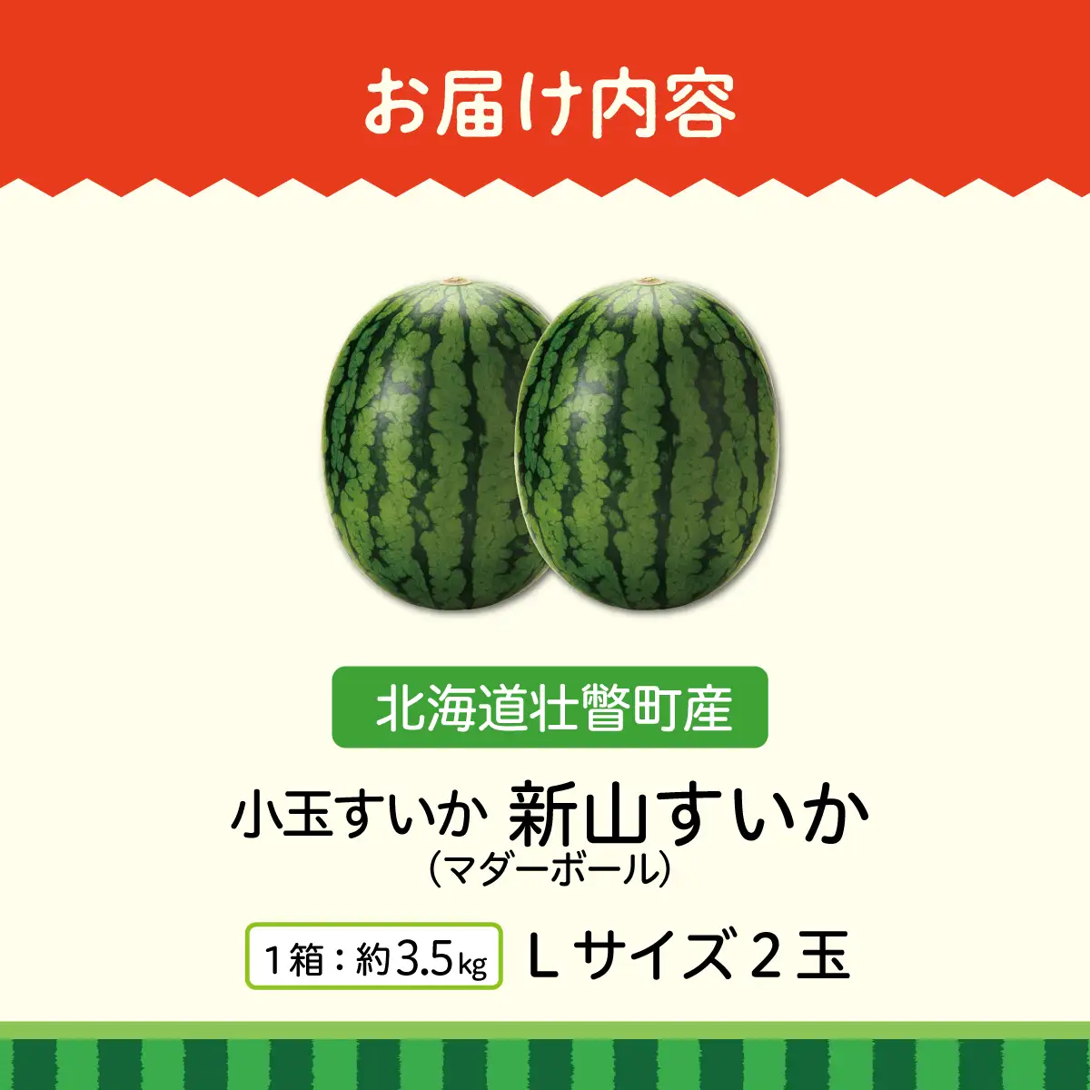 【先行予約】【定期便2回】赤肉メロン2玉＋小玉スイカ2玉 旬のフルーツ定期便　SBTN011