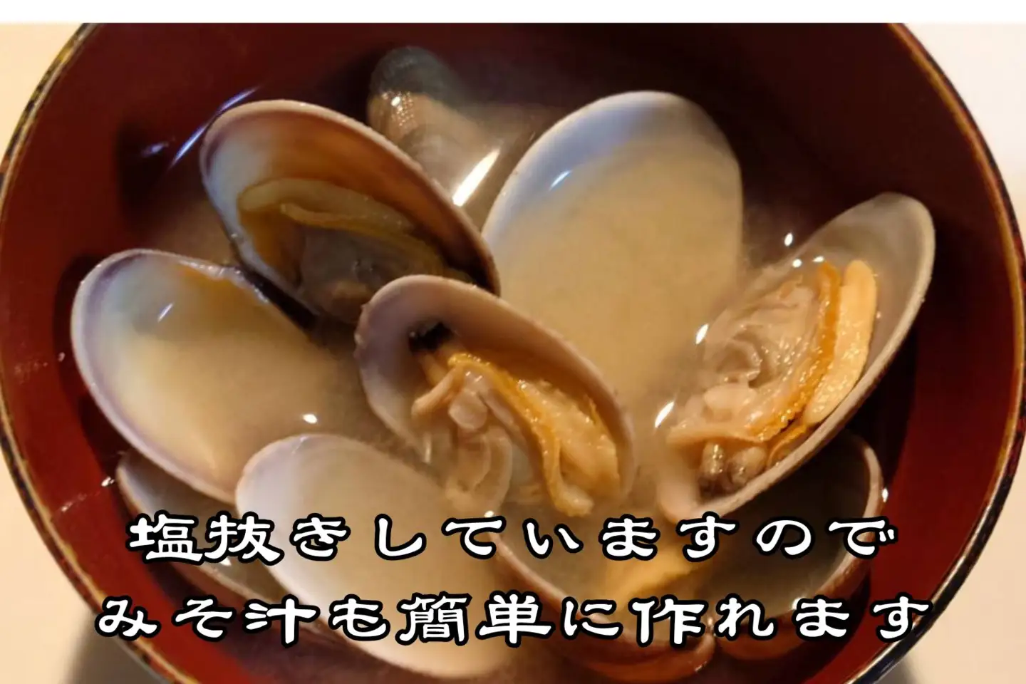 広尾町産　数量限定　活あさり　500g【アサリ　貝　生　新鮮　期間限定　北海道】(G0018)
