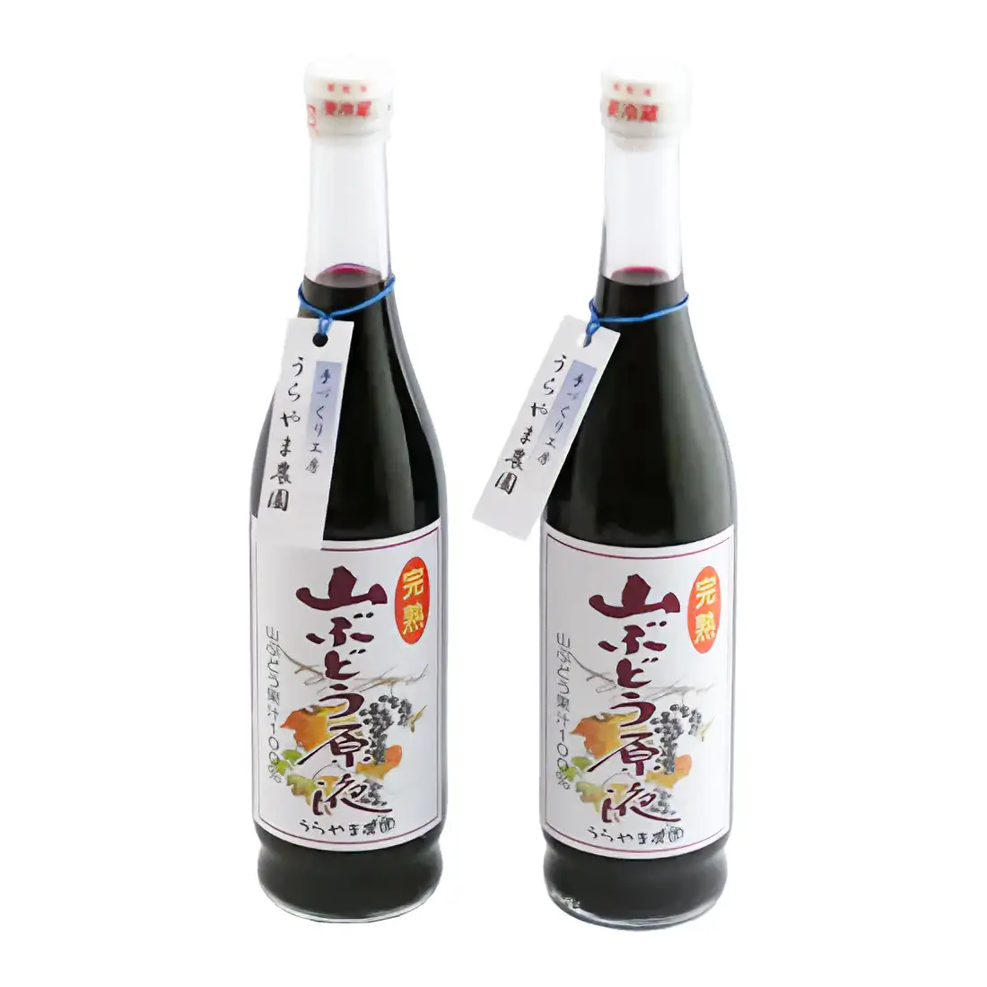 うらやま農園の完熟山ぶどう原液　500ml×２本　山形県鶴岡市　K-844　| やまぶどう 飲料 果汁 飲料 ポリフェノール 贈り物 ギフト お取り寄せ 返礼品
