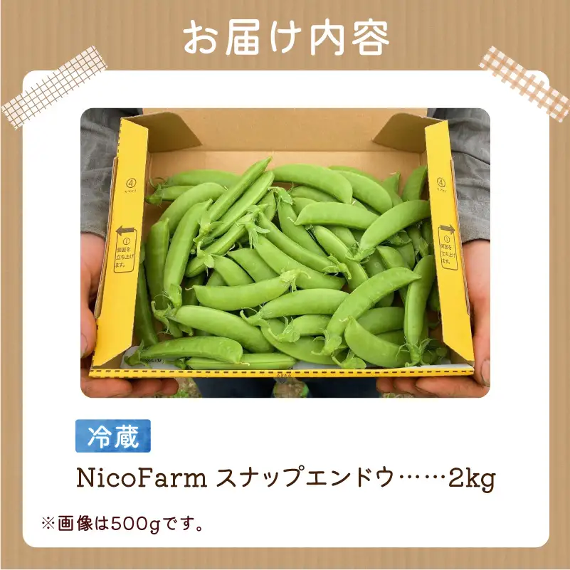 【先行予約6月上旬】甘くてシャキシャキ！スナップエンドウ 2kg えんどう豆_Y124-0049