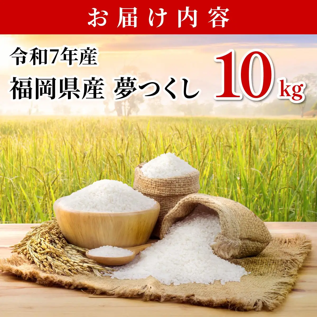 【令和7年産】福岡県産夢つくし10kg