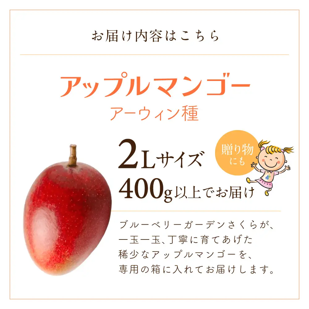 【期間限定】《2026年9月15日まで》アップルマンゴー 2Lサイズ コバヤシ化成 滋賀県 東近江市 A-G26 マンゴー 完熟 予約 冷蔵 フルーツ 果物 濃厚 期間限定 国産 本格 産地直送